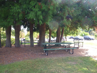 Picnic tables under large trees – natural surface – near parking and playground